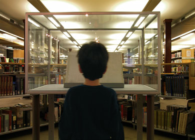 Reader at Fitzroy Library